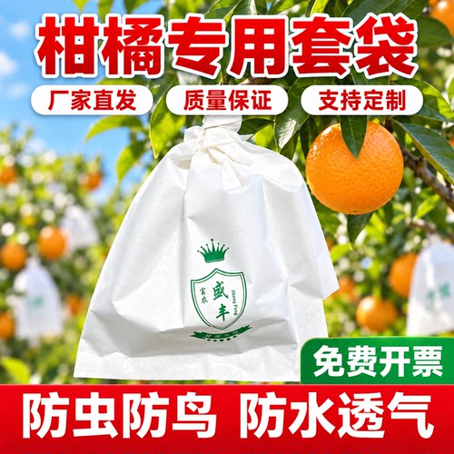 橘子无花果草莓用水果防冻防水袋
