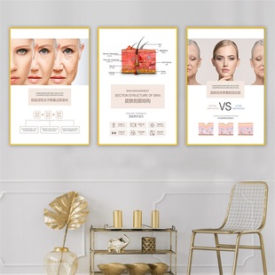 美容院皮肤管理结构图养发装饰画面部护肤墙壁养生馆肌肤保养挂画