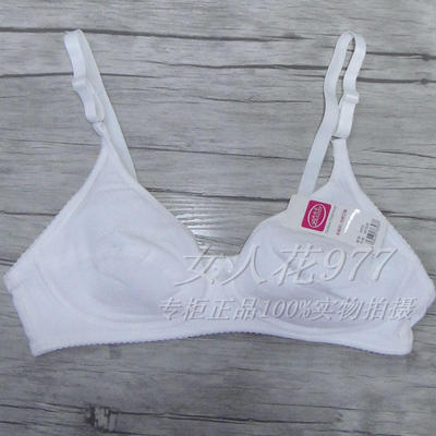 帕妮莉丰满无钢圈文胸5件包邮