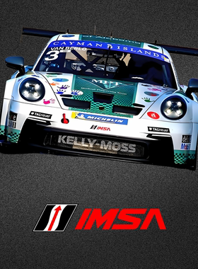 车永佳 IMSA国际汽车运动协会标识车贴赛车身包围PET改色膜拉花