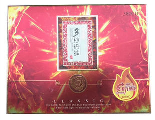 娜娇婷 三秒热裤一体裤加厚加绒打底裤3秒发热裤踩脚裤3800D 728