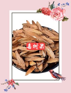 喜树果500克g包邮 千丈树 水栗子 天梓树 材店铺