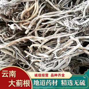 云南  野生大蓟根   无硫货  中通包邮 有大货大蓟叶也有