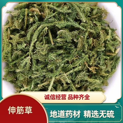 伸筋草过山龙透骨草泡脚伸筋草粉泡茶湿气伸筋草筋骨草