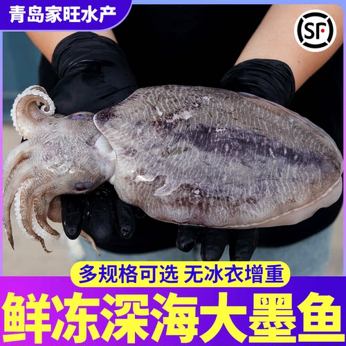 【肉厚】【爆炒做汤】【滋补】