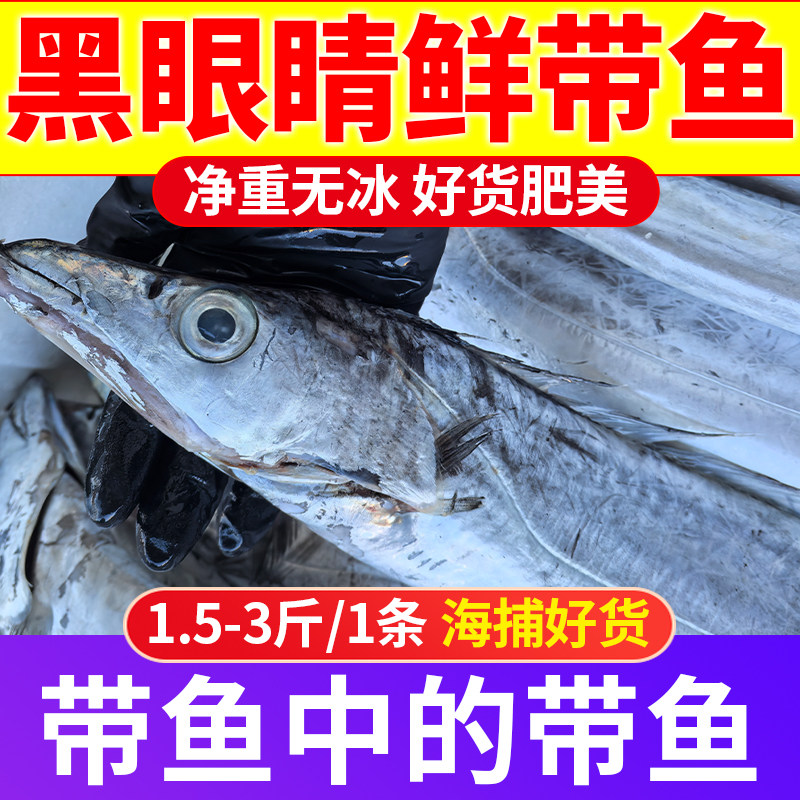 青岛本地新鲜大带鱼刀鱼新鲜超大整条非带鱼段海鲜水产鲜活商用