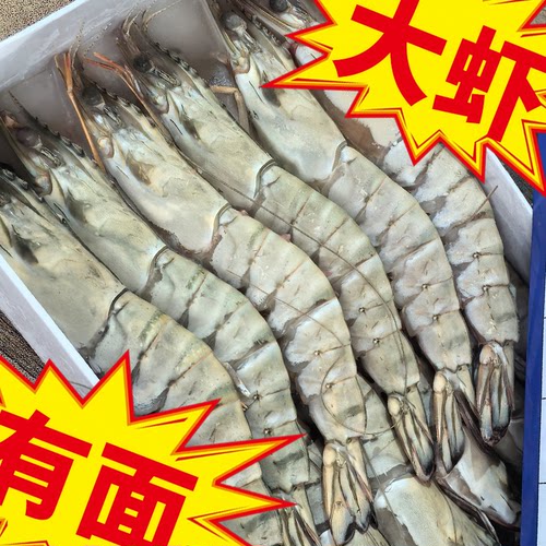 黑虎虾！新鲜！够称！礼盒！顺丰