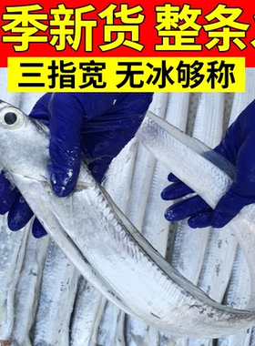 新鲜带鱼整条冷冻刀鱼深海鱼整箱水产野生大刀鱼非带鱼段海鲜送礼