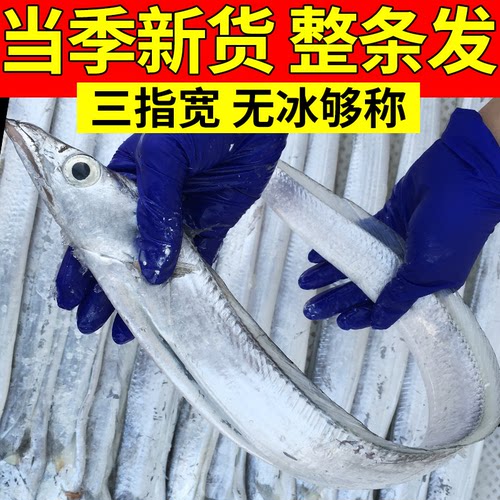 【整条发货】无冰够称肥美鲜香