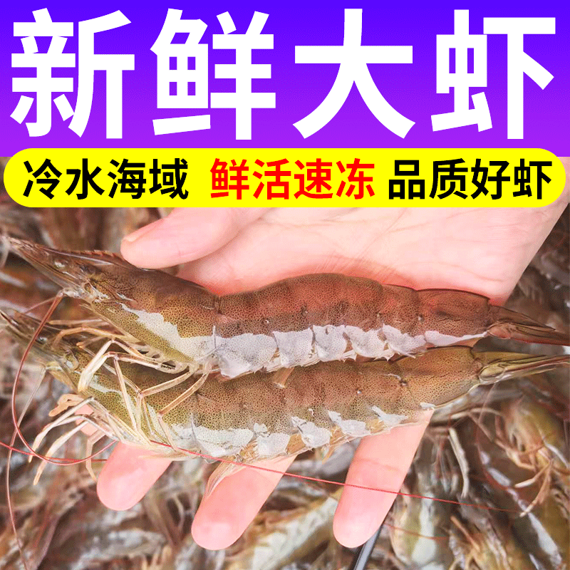 正宗青岛大虾鲜活冷冻新鲜海水虾生虾对虾青虾鲜虾海鲜水产虾类