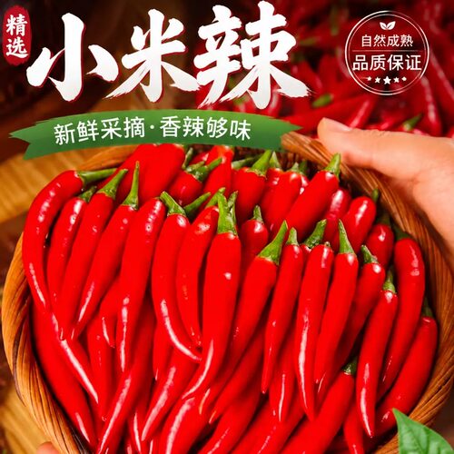 云南曲靖小米椒露天现摘