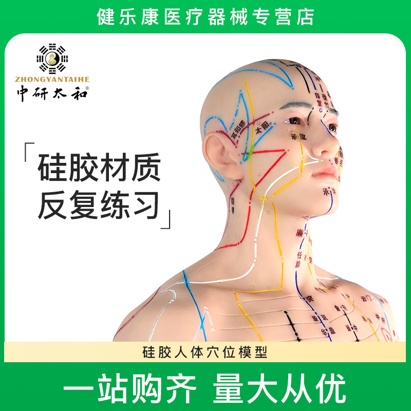 中研太和宋天圣模型人体穴位