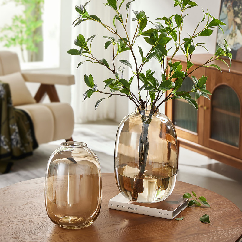 轻奢玻璃花瓶摆件水养马醉木龟背竹雪柳客厅插花专用透明大肚吊钟,家居饰品,花瓶,淘宝优惠券,粉丝福利购,淘宝优惠卷