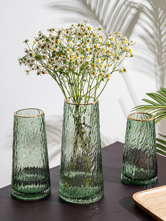 北欧轻奢描金透明玻璃花瓶摆件客厅创意简约ins插花餐桌面装 饰