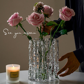 高级感花瓶摆件网红ins风透明玻璃水养插花鲜花客厅餐桌家用装 饰