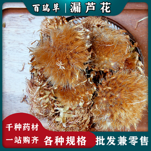 【百瑞草】漏芦花  中药材 漏卢花