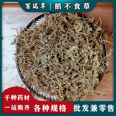 【百瑞草】鹅不食草 中药材鹅不吃草野生 鹅不食草粉饿不食草