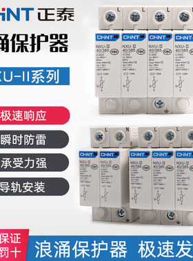 正泰浪涌保护器NXU-II 2P 3 4P 20 40 100KA防雷避雷器代替NU6-Ⅱ