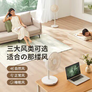 艾曼达落地立式家用微静音电扇