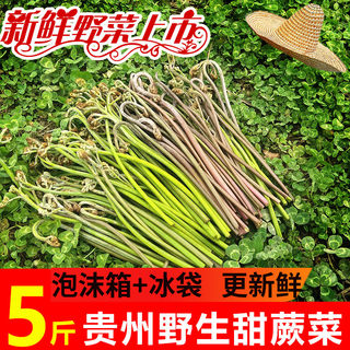 鲜嫩甜野生蕨菜新鲜当季贵州省撅菜凉拌蕨苔农家野菜山蕨菜4斤8斤