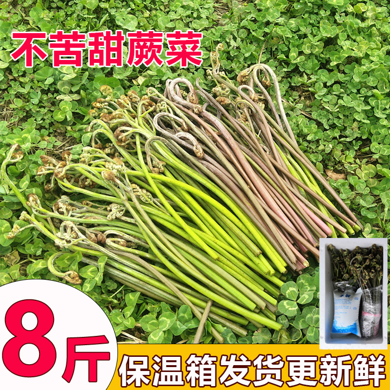 贵州山野菜新鲜甜蕨菜产地直发