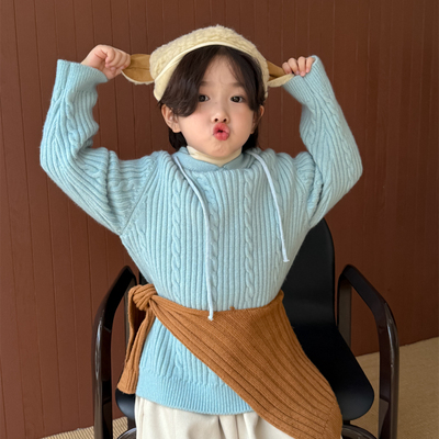 男童冬季韩版加厚连帽麻花针织衫