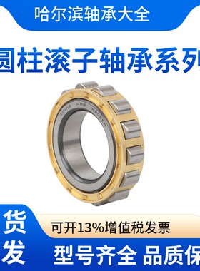 哈尔滨HRB圆柱滚子轴承 RN204 205 206 207 208 209 210 211 212M