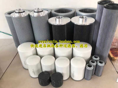 300460P液压水平轴润滑滤芯