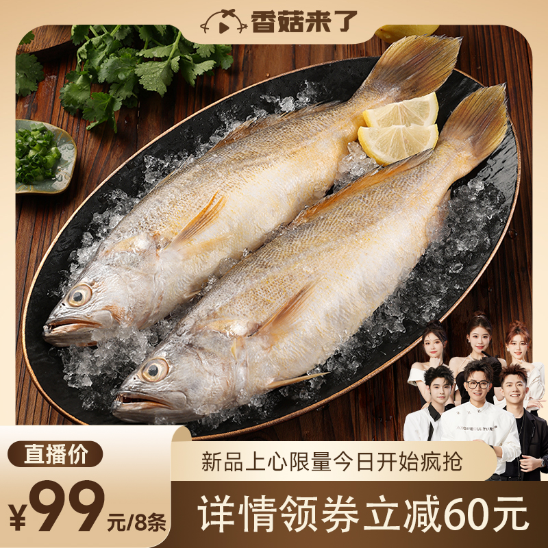 巢三珍进口新鲜冷冻三去黄鱼生鲜南美海捕大黄鱼410g
