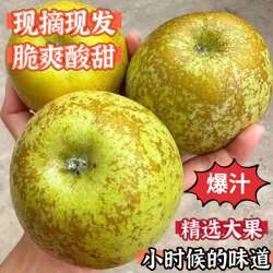 丰县大沙河老味金帅黄香蕉青苹果酸甜孕妇斑点锈新鲜水果