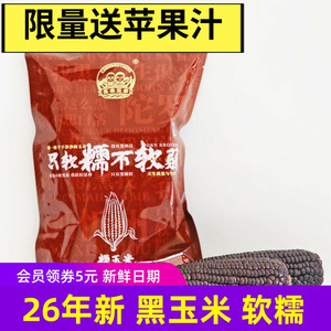 26年新玉米 玉米兄弟有机黑玉米软糯香甜苞米东北特产8