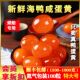 爱贝特大号15 18克正宗新鲜生咸蛋黄包粽子蛋黄酥月饼等烘焙原料