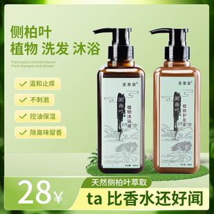 圣草泉侧柏叶植物护发素沐浴露柔顺毛躁烫染修复无月桂醇茉莉留香