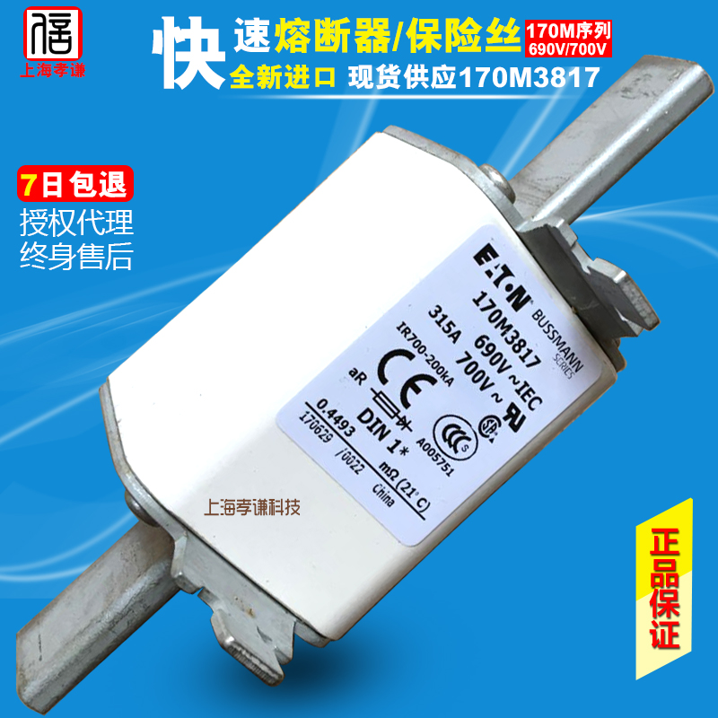 熔断器BUSSMANN170M3818