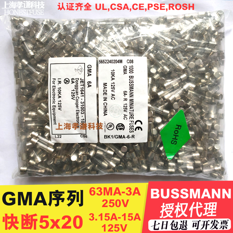 BUSSMANN快速保险丝GMA250V