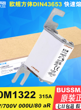 BUSSMANN熔断器170M1322-1321-1320-1319-1318-1317-1316 690Vac
