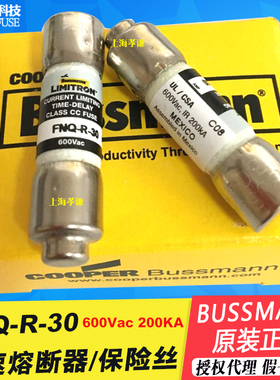 美国BUSSMANN熔断器FNQ-R-30 30A25A20A15A 600V 10x38mm保险丝UL