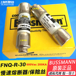 美国BUSSMANN熔断器FNQ-R-30 30A25A20A15A 600V 10x38mm保险丝UL