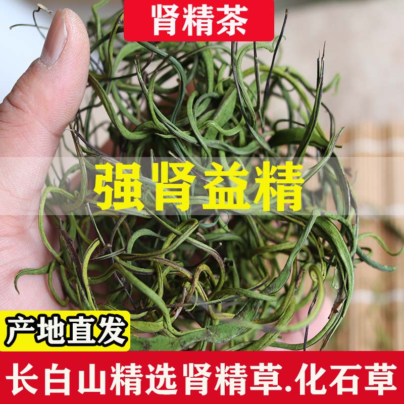 化石草野生肾精茶煮水泡茶长白山
