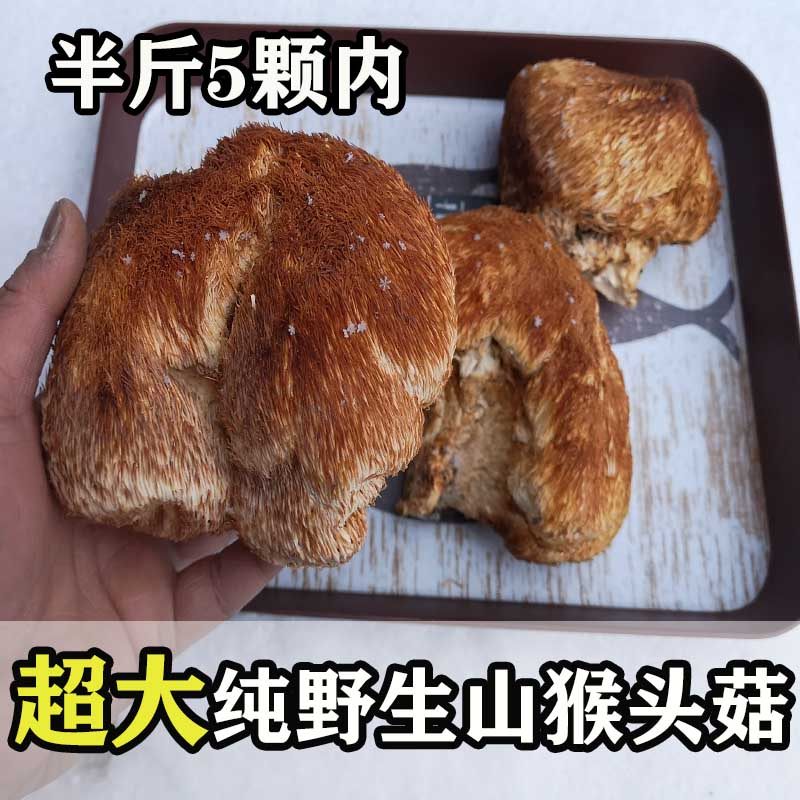 东北猴头菇干货超大个头手选250g特级长白山纯野生猴头菇粉养胃,粮油调味/速食/干货/烘焙,猴头菇,淘宝优惠券,粉丝福利购,淘宝优惠卷