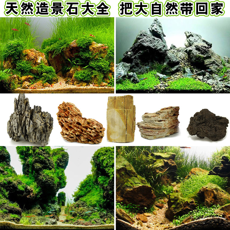 鱼缸造景石酸洗青龙石假山水草缸装饰石头松皮石天然原石大块小块