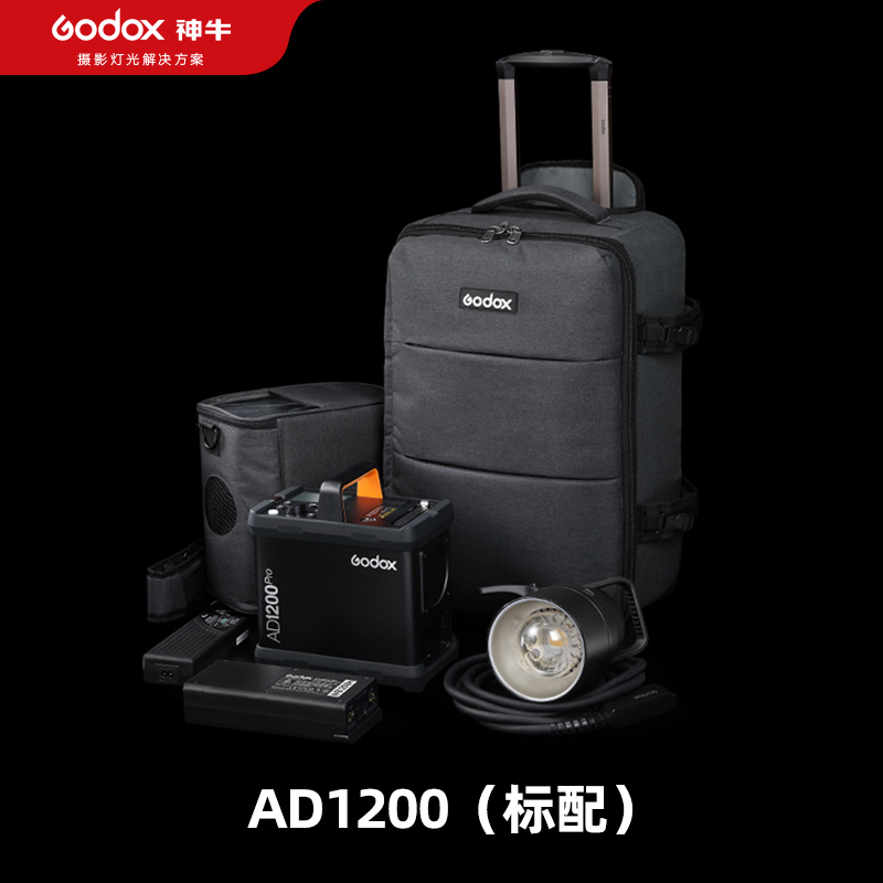 神牛AD1200pro外拍闪光灯灯头锂电箱分体式高速同步连拍TTL摄影灯