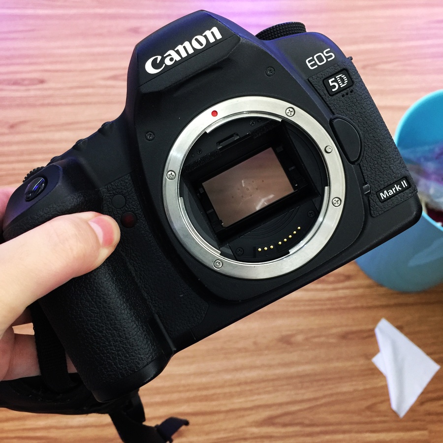 ¼ÑÄÜ5D2µ¥»úÉíÈ«»·ù¶þÊÖ ¸ßÇåרҵµ¥·´ÊýÂëÏà»ú(8298¡¢8495)
