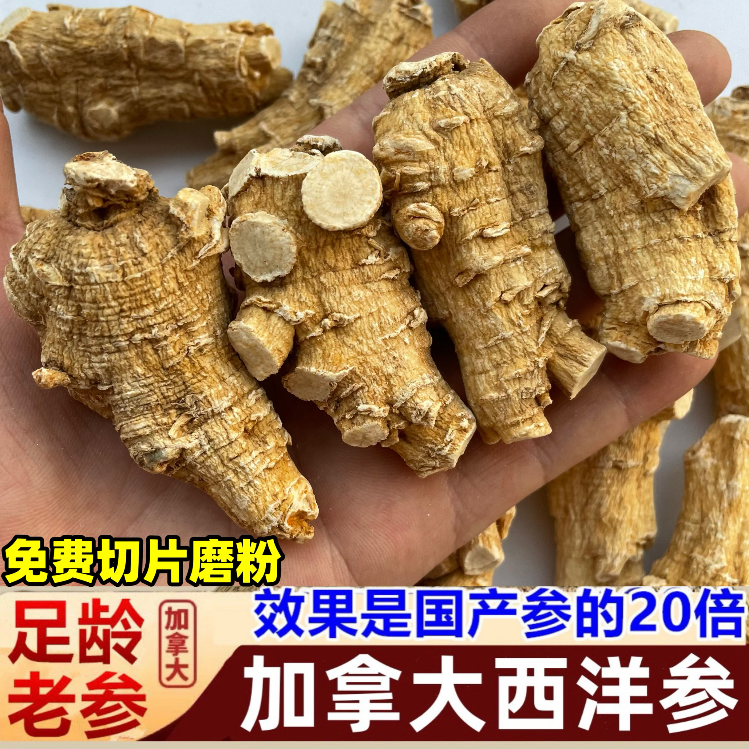 西洋参 加拿大进口参原枝粒头整枝参段切片美国花旗参头西洋参片