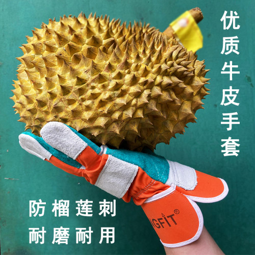 加厚仙人掌玫瑰榴莲防扎牛皮手套