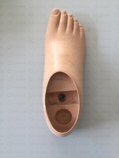 假肢配件 假肢脚板 单孔动踝脚双孔动踝脚 聚氨酯假脚 假脚包邮