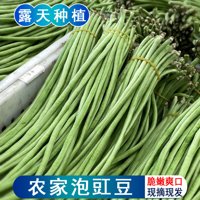 四川新鲜豇豆应季农家自种长豆角嫩姜豆泡豇豆酸豆角腌制原材料