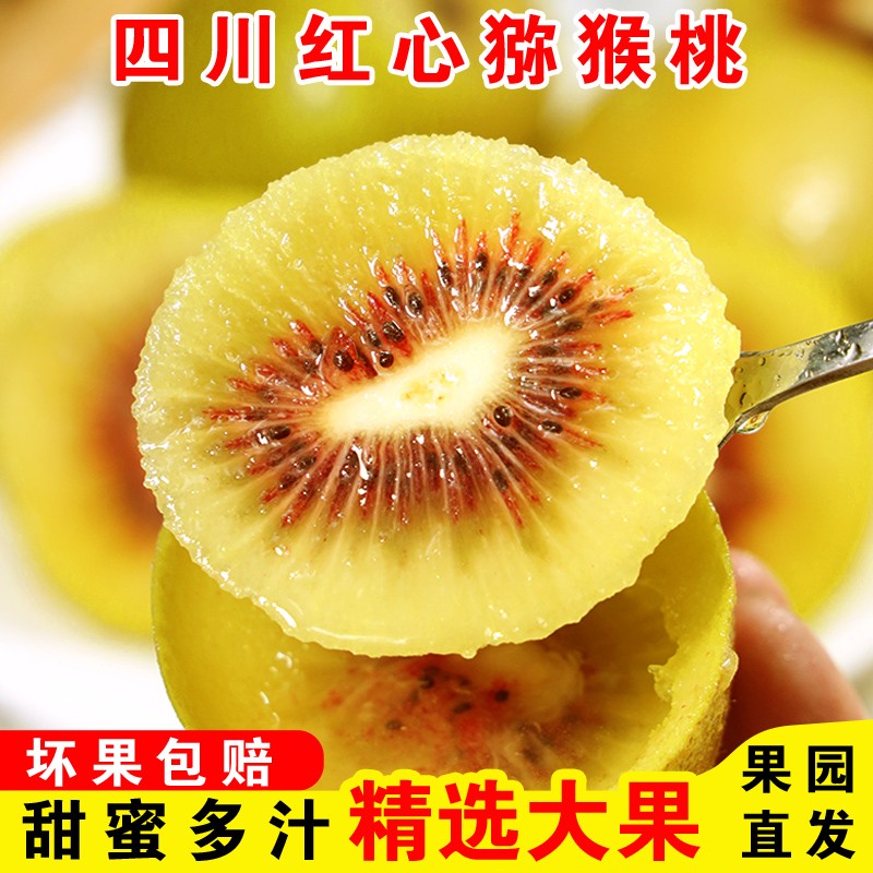 四川蒲江红心猕猴桃新鲜水果大果奇异果/猕猴桃