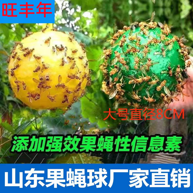 柑橘大实蝇诱蝇球粘虫板黄粘虫球瓜果实蝇果蝇球贴针蜂诱捕器果园