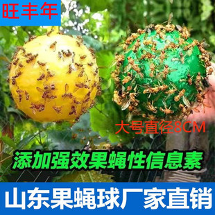 柑橘大实蝇诱蝇球粘虫板黄粘虫球瓜果实蝇果蝇球贴针蜂诱捕器果园
